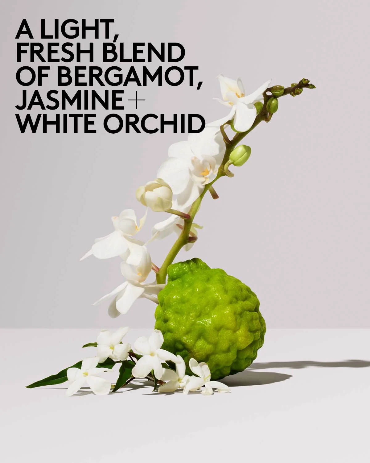 Butta Drop Hydrating Body Milk — Salted Caramel - Image 6